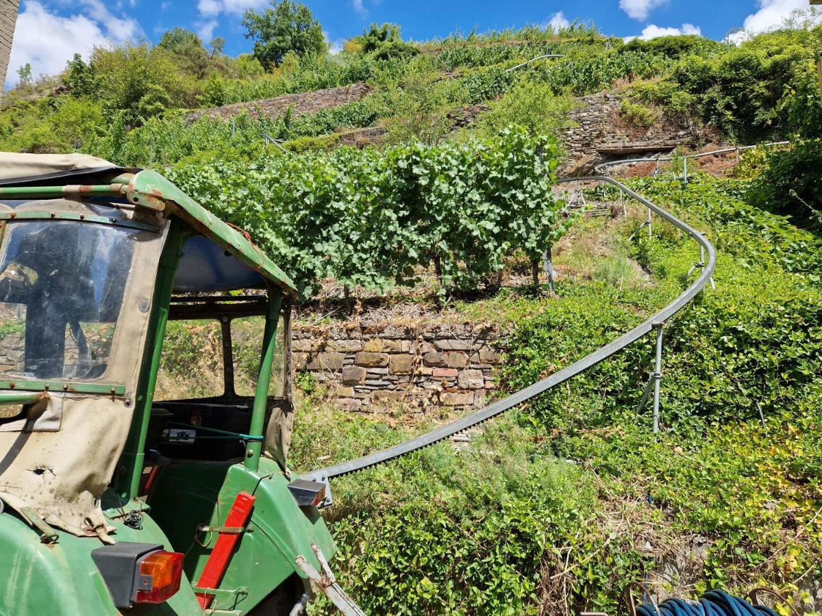 Отель Weingut Haxel Кохем Экстерьер фото